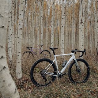 🌿🚴‍♂️ Les volá, začíná vonět jarem! 🚴‍♀️🌿 Zima pomalu ustupuje a příroda se začíná probouzet. První vyjížďky mezi břízami,...